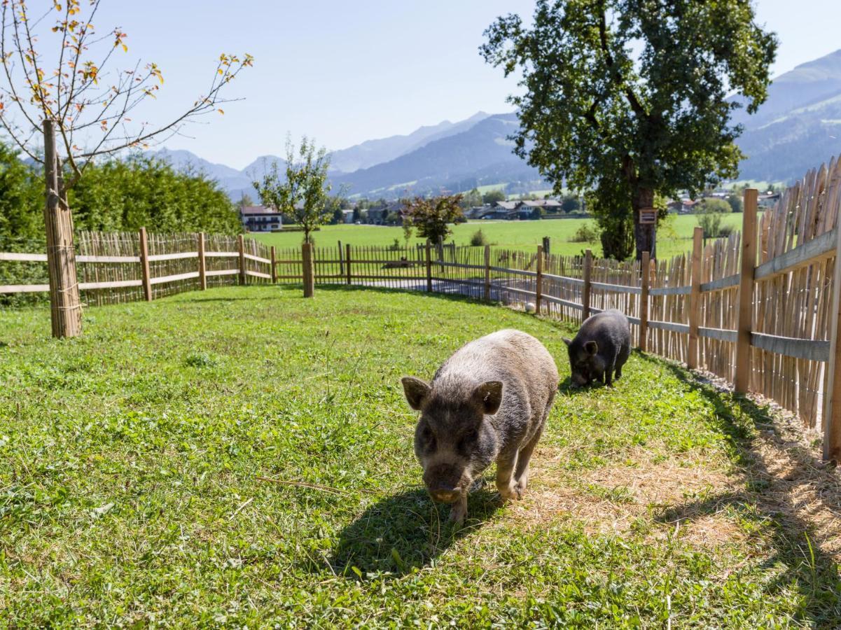 Narzenhof Wellness Chalets, Familien & Luxus Apartments Am Bauernhof St. Johann in Tirol Kültér fotó