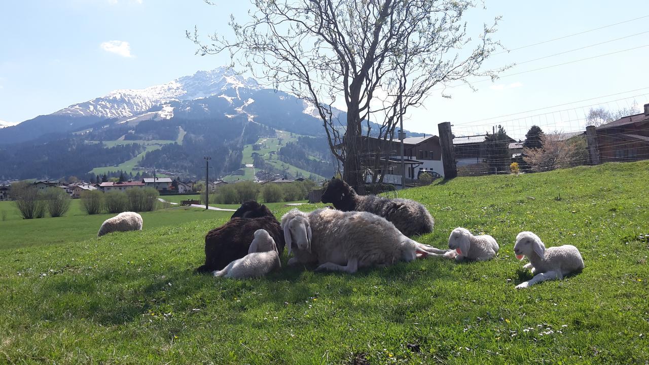 Narzenhof Wellness Chalets, Familien & Luxus Apartments Am Bauernhof St. Johann in Tirol Kültér fotó