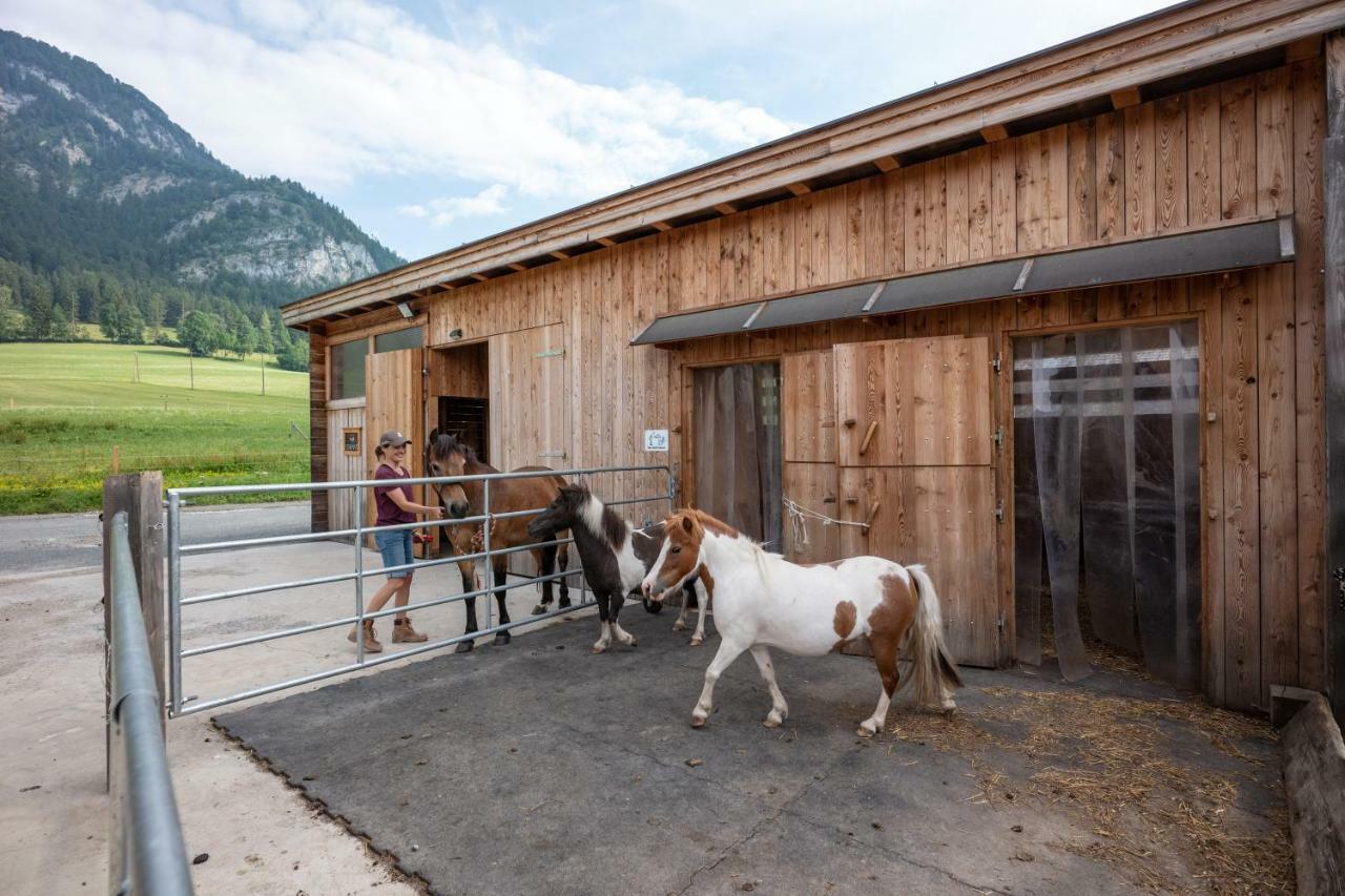 Narzenhof Wellness Chalets, Familien & Luxus Apartments Am Bauernhof St. Johann in Tirol Kültér fotó