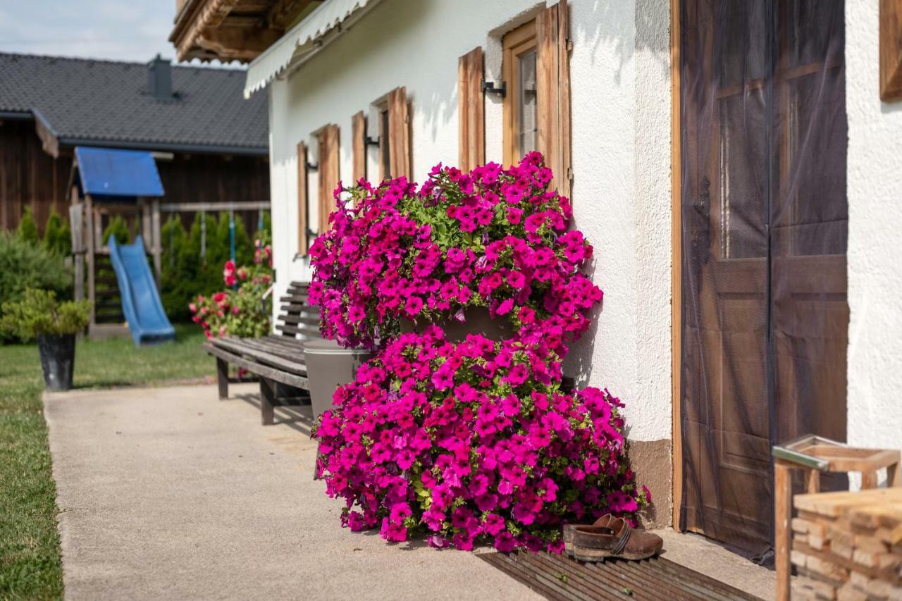 Narzenhof Wellness Chalets, Familien & Luxus Apartments Am Bauernhof St. Johann in Tirol Kültér fotó